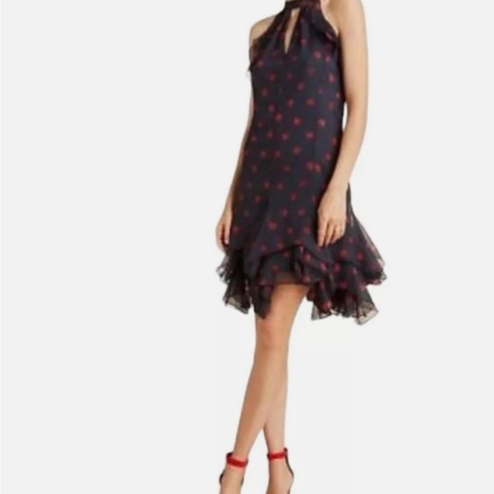 Elegant Black and Red Polka Dot Dress